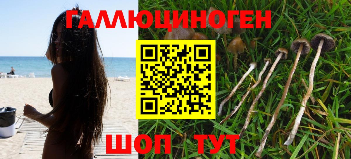 купить наркотики цена  Псилоцибиновые грибы MAGIC MUSHROOMS  Вход с VPN  Корсаков  Галлюциногенные грибы Psilocybe 