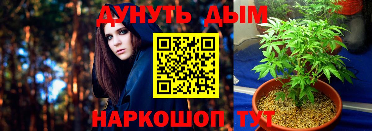 Канабис Bruce Banner Корсаков